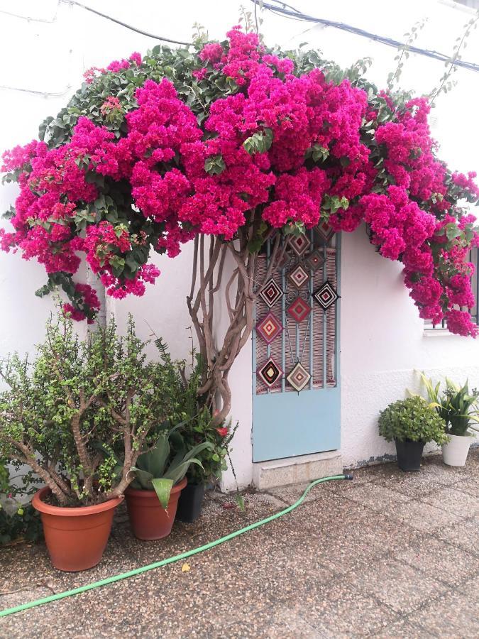 Appartamento Corazon De Conil Conil De La Frontera Esterno foto