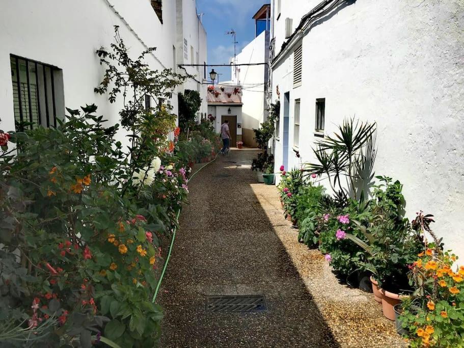 Appartamento Corazon De Conil Conil De La Frontera Esterno foto