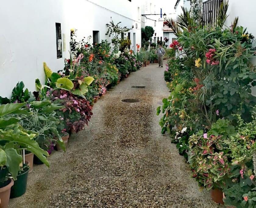 Appartamento Corazon De Conil Conil De La Frontera Esterno foto